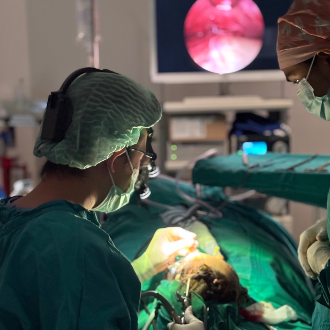 Endoscopic access during brow lift surgery